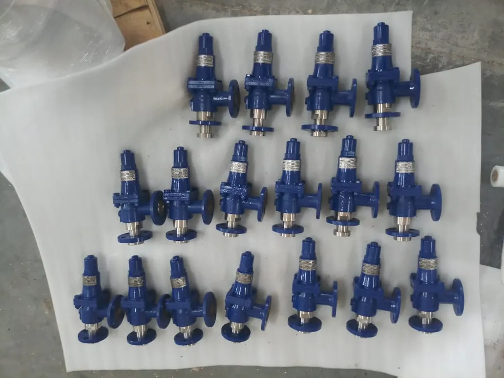 Rows of blue safety valves